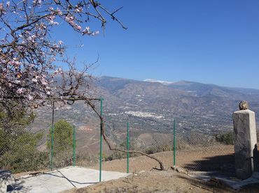Casa rústica en venta en Órgiva