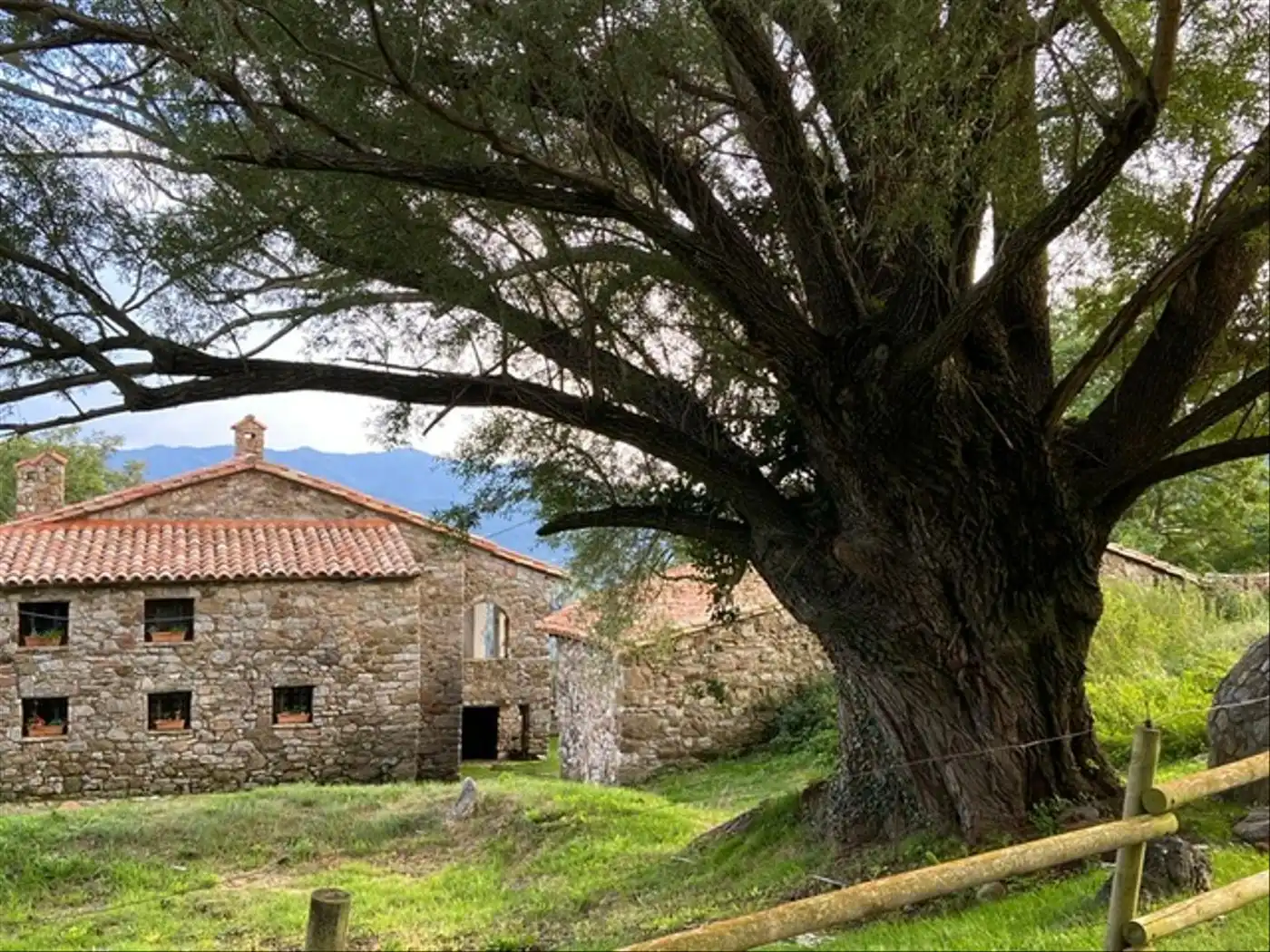 Exterior view of Houses for sale in Ogassa
