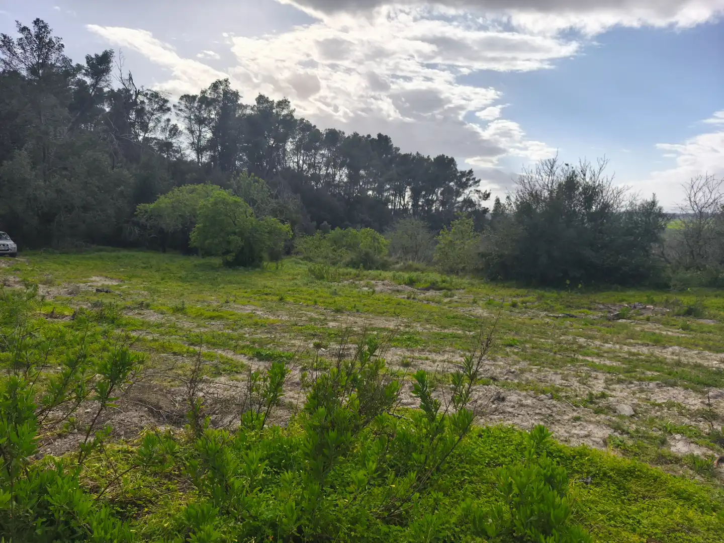 Terreno rustico in vendita a Sant Joan, imagen 3