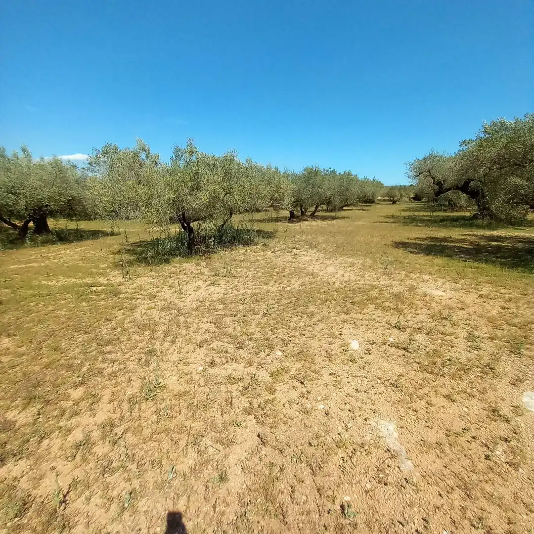 Maison à vendre à Roquetes, imagen 4