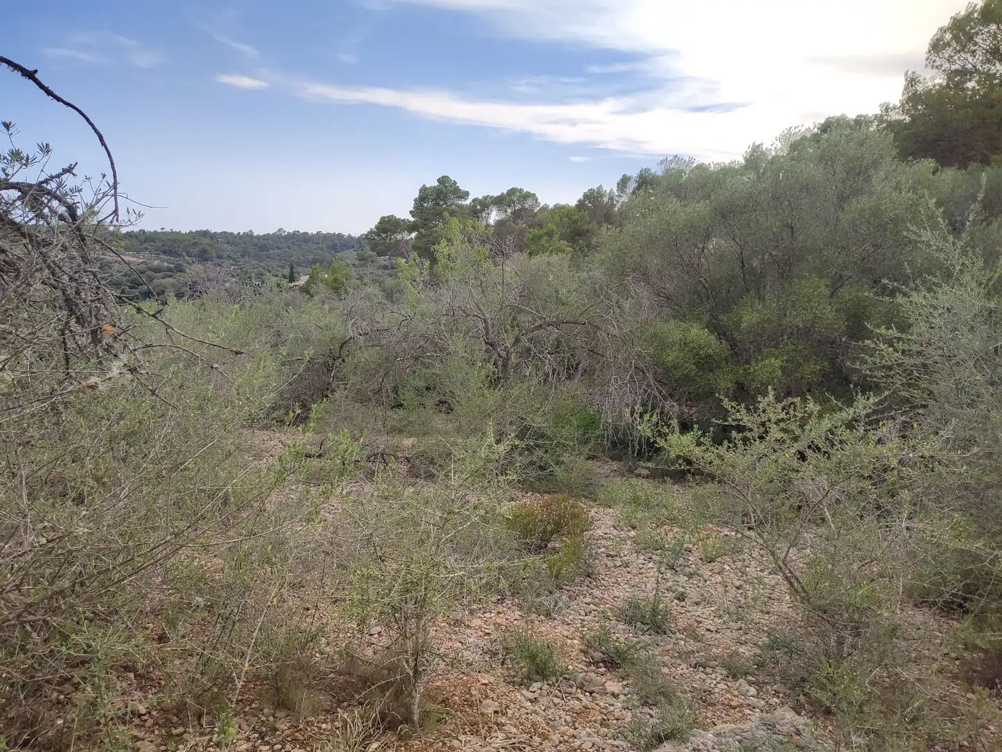 Terrain rustique à vendre à Sant Joan, imagen 6