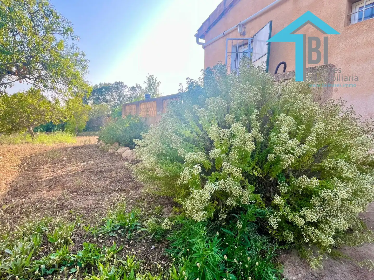 House with pool for sale in Llucmajor pueblo, imagen 27