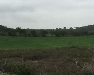 Land for sale in San José del Valle