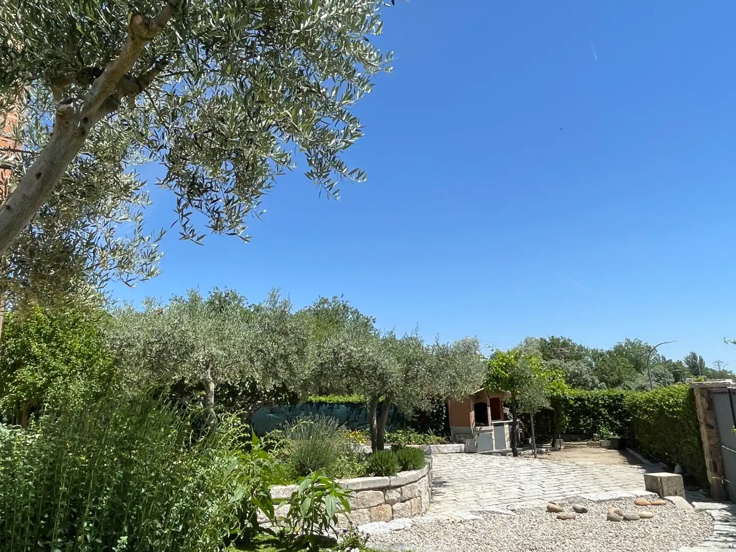 Jardín de Casa o chalet en venta en Colmenar Viejo con Calefacción, Jardín privado y Trastero