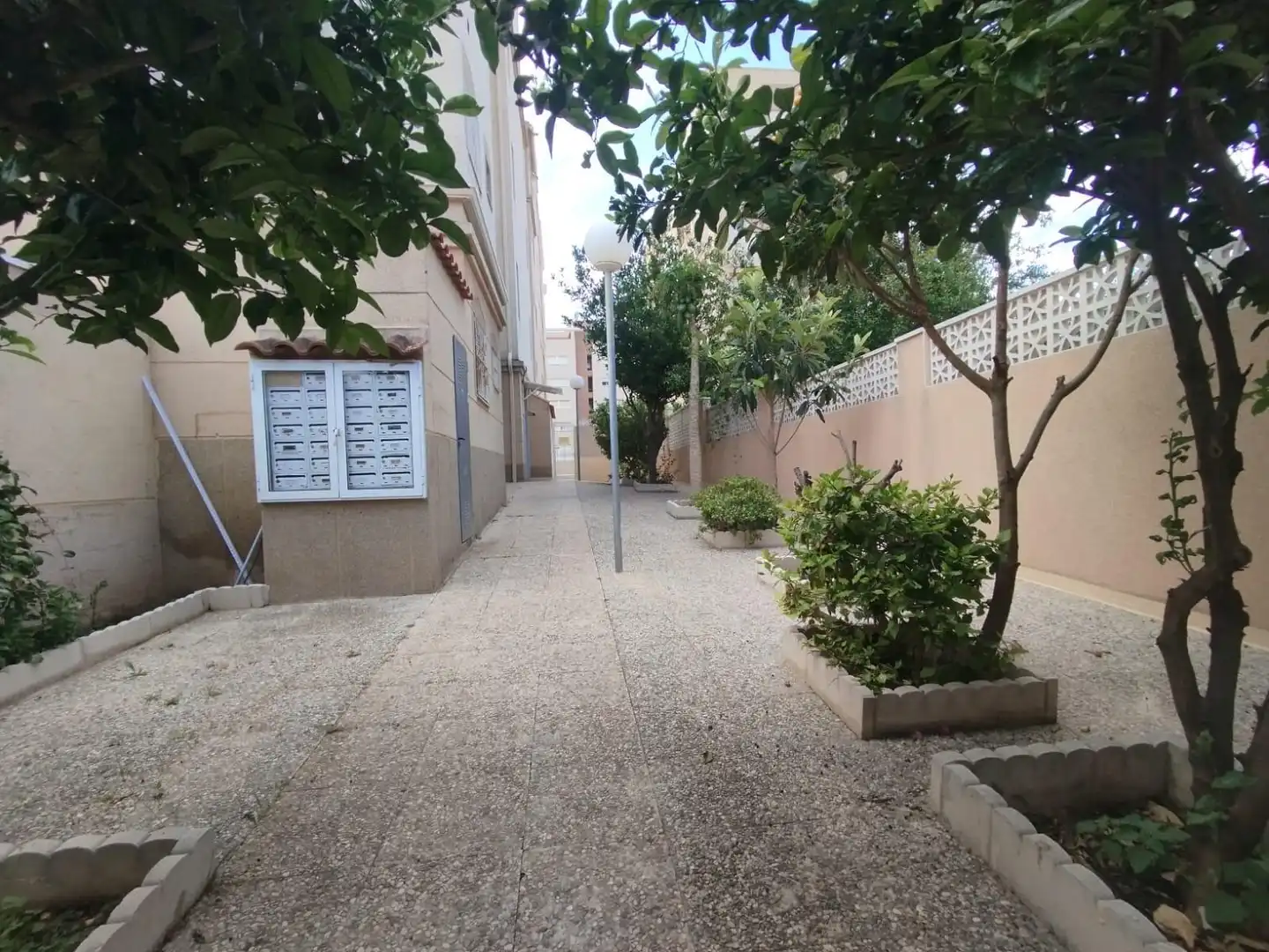 Vista exterior de Apartamento en venta en Torrevieja con Terraza, Amueblado y Balcón