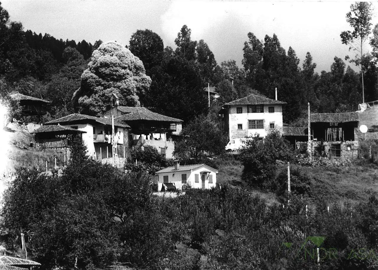 Vista exterior de Finca rústica en venta en Pravia