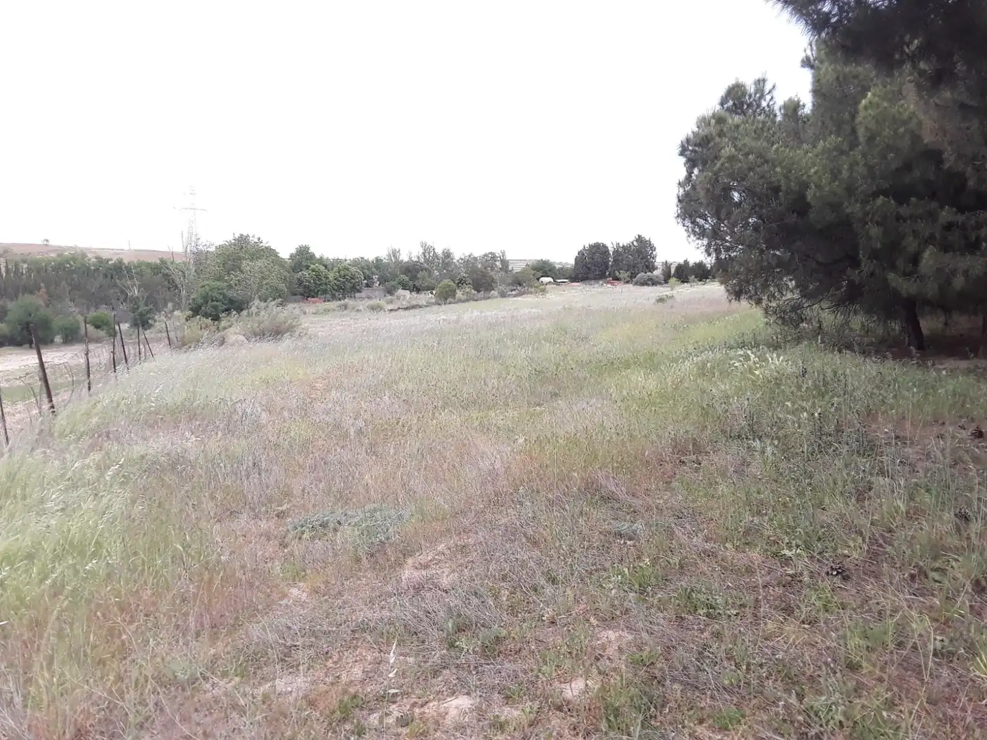 Terreno en venta en Moraleja de Enmedio