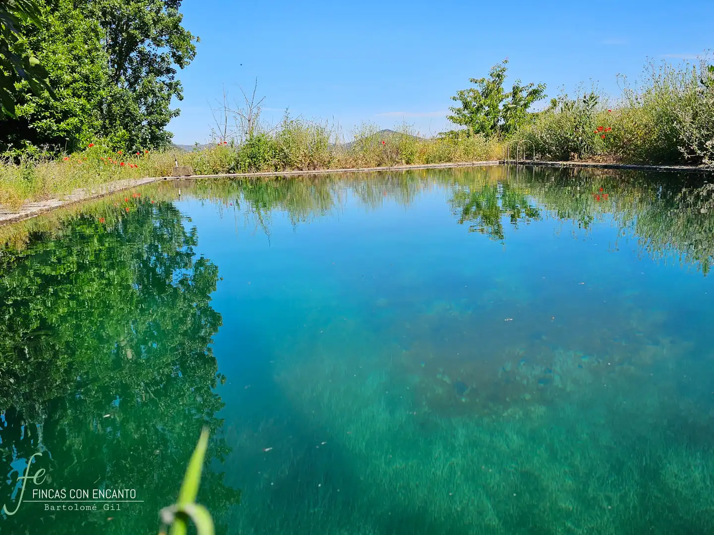 Swimming pool of Country homes for sale in Cazalla de la Sierra  with Swimming Pool