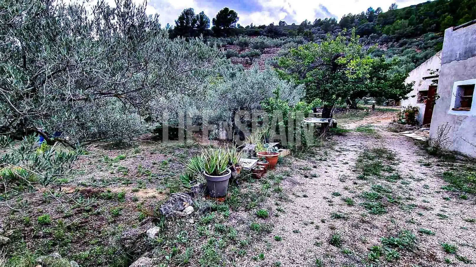 Finca rústica en venta en Bítem