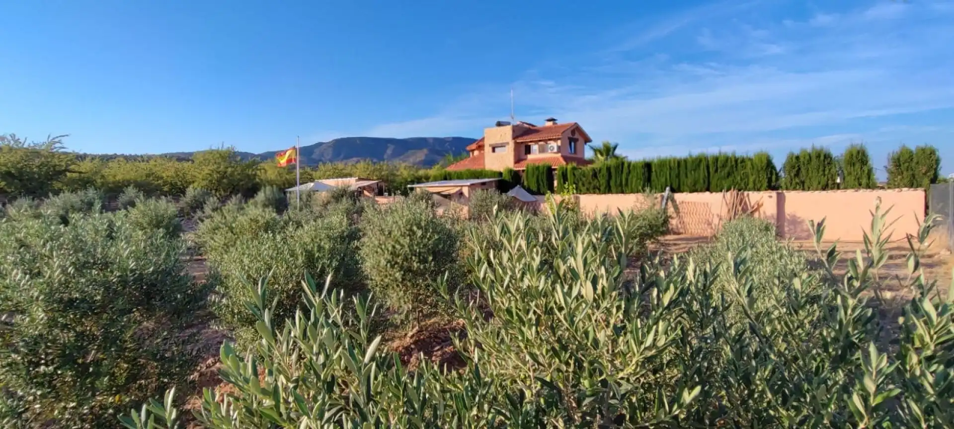 Villa à vendre à El Pinós / Pinoso, imagen 25