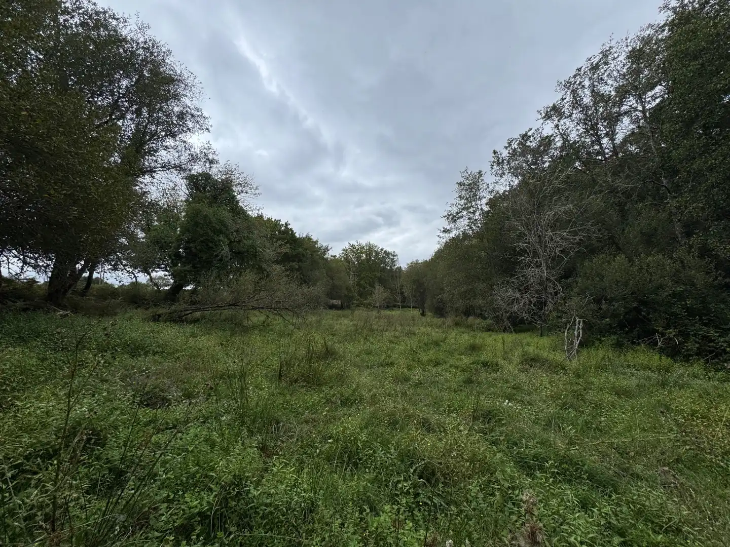 Land for sale in Boborás