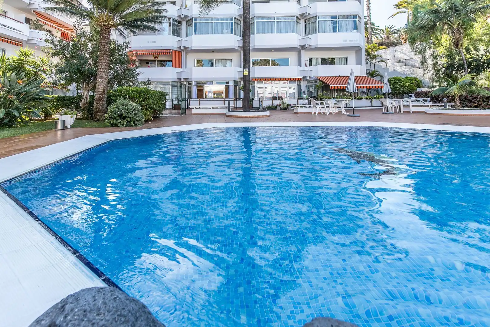 Flat with pool for sale in Zona Botánico, imagen 13