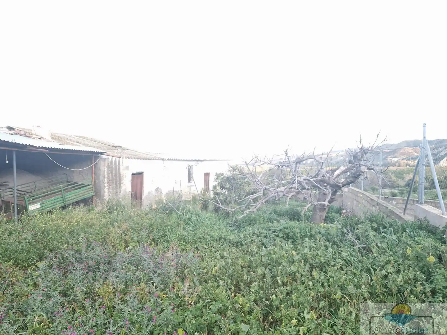 Terrenys i solars en venda a Albox, imagen 2