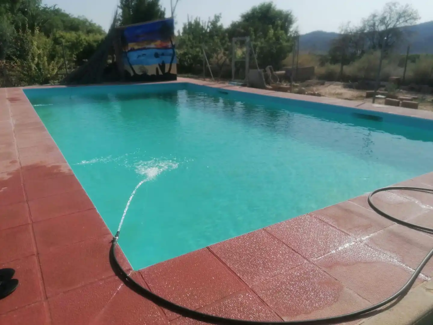 Casa rústica con piscina en venta en Jumilla, imagen 5