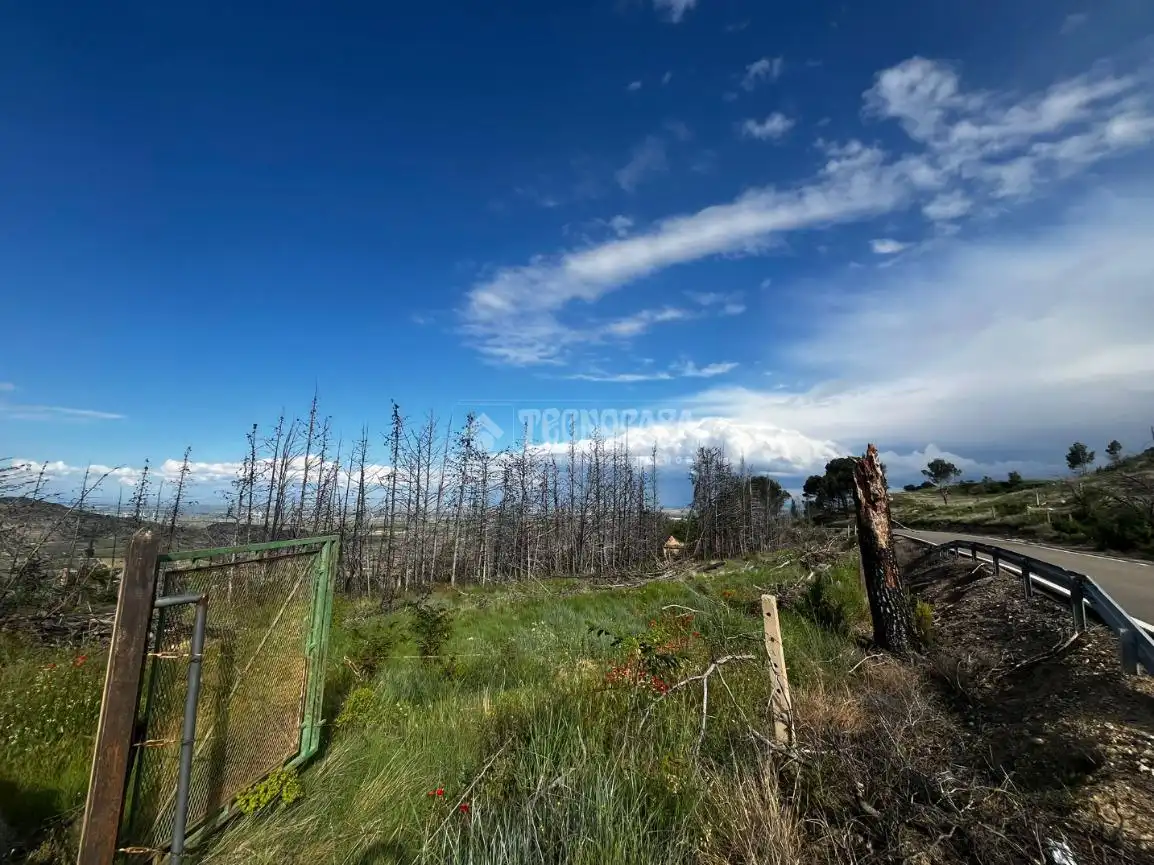 Land for sale in Borja