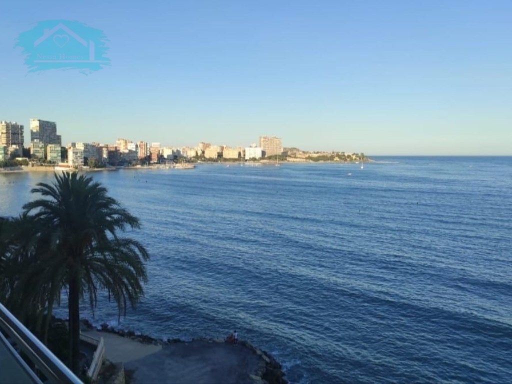 Exterior view of Study to rent in Alicante / Alacant  with Air Conditioner, Furnished and Oven