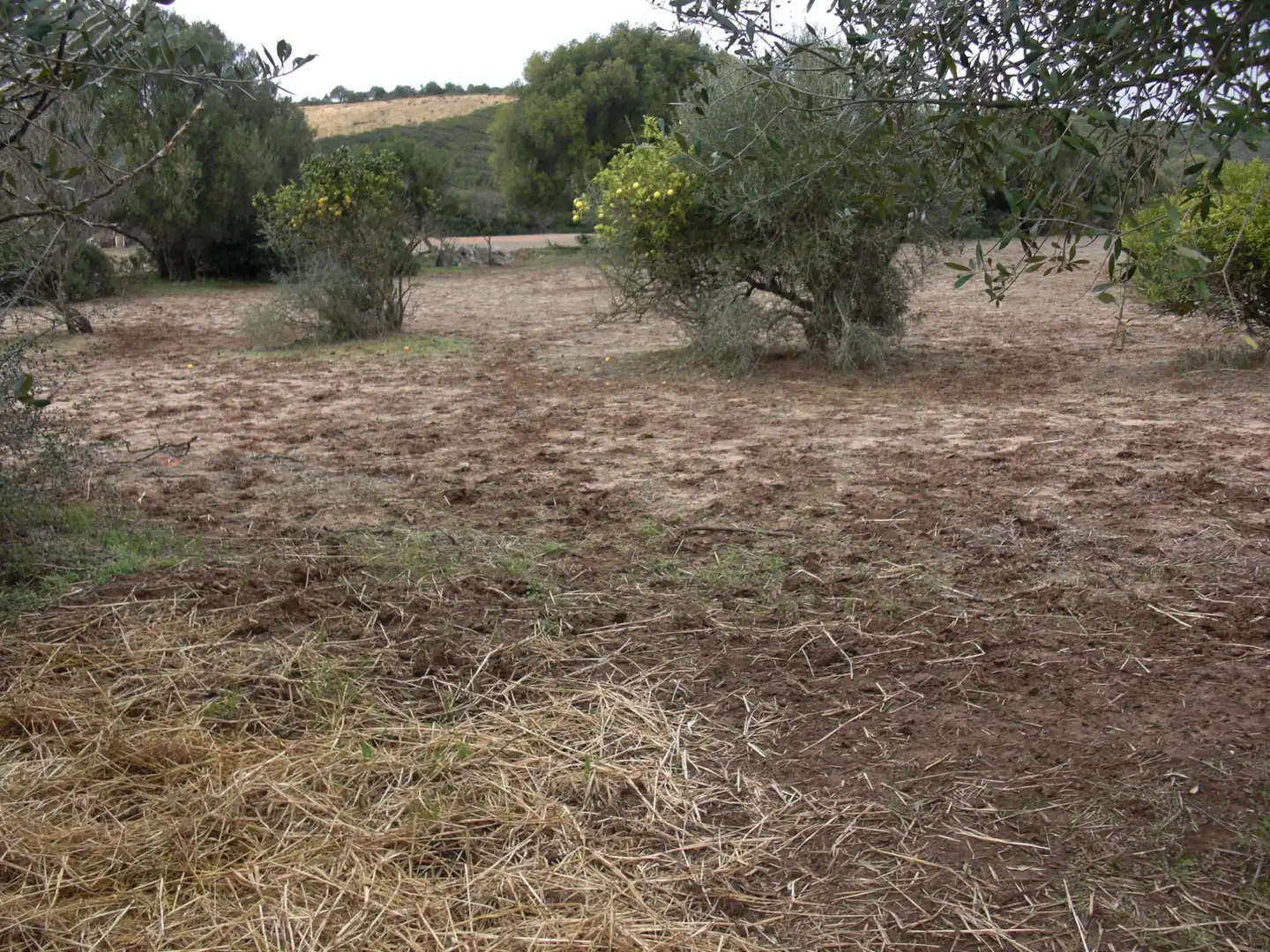 Finca rústica en venda en Vejer de la Frontera