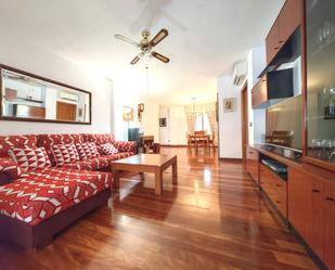 Living room of Flat for sale in  Madrid Capital  with Air Conditioner, Heating and Private garden