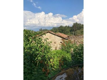 Haus zum Verkauf in Entrimo