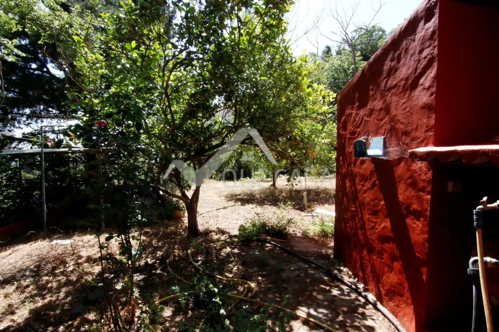 Terreno en venta en Vega de San Mateo
