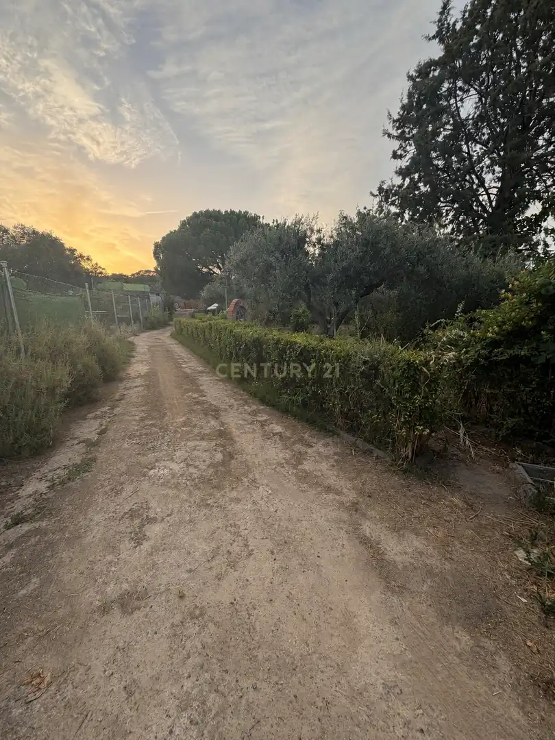 Casa o xalet en venda en Trujillo amb Aire condicionat, Jardí privat i Traster