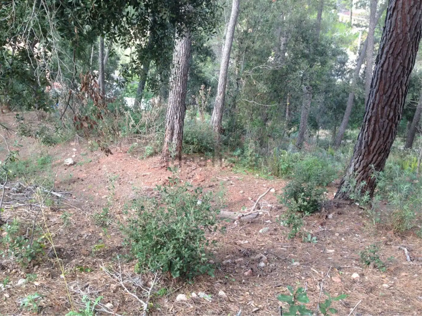 Residential land for sale in Carrer Jeies, imagen 10