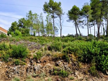 Terreno residenziale in vendita a Olivella