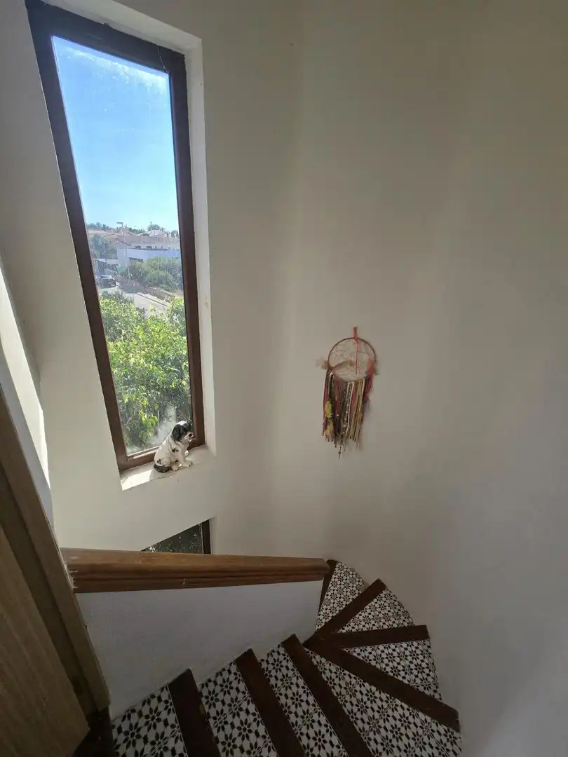 Casa a schiera con piscina in vendita a Sa Torre, imagen 44