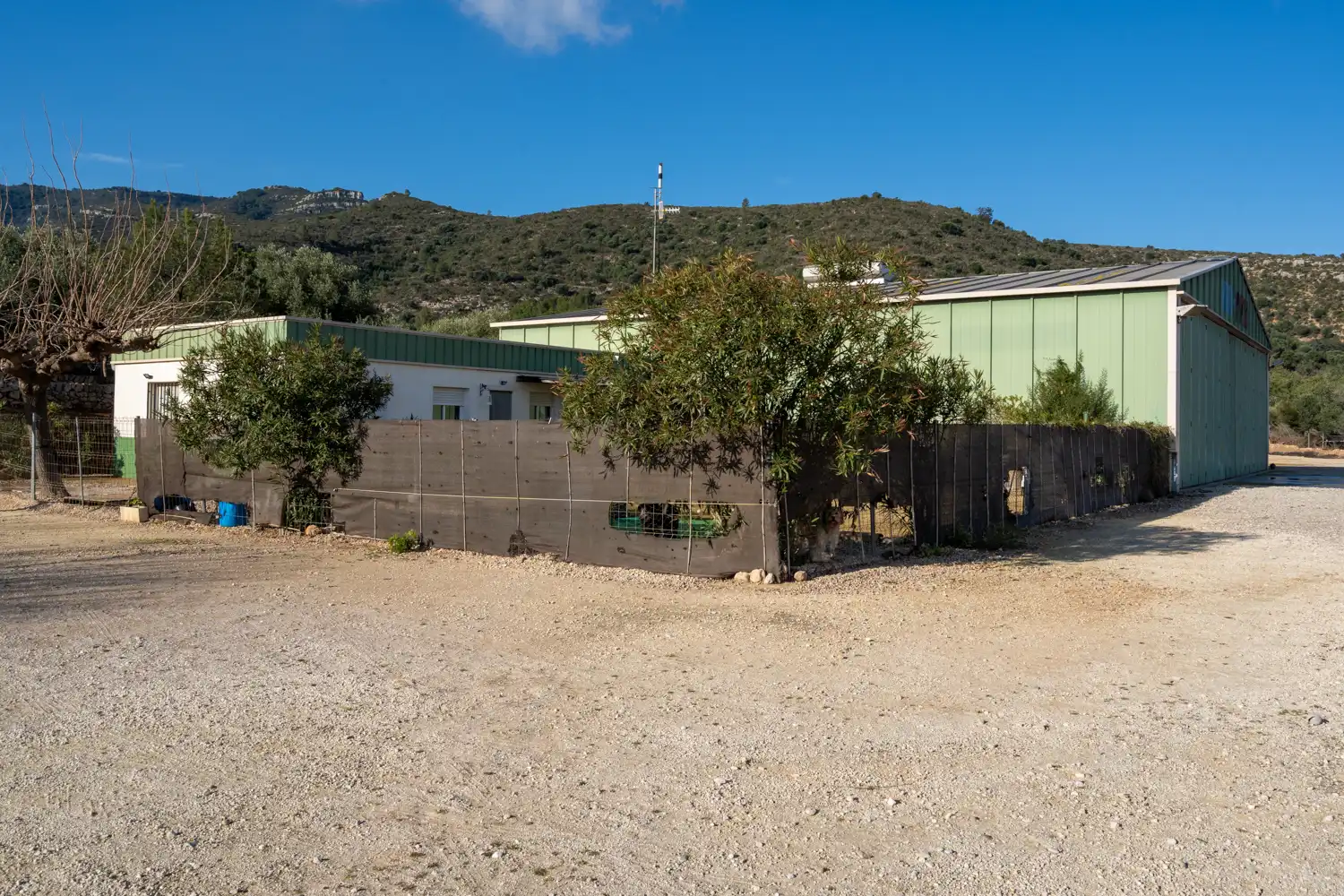 Detached house for sale in Camí del Mas d'en Carrasca 130, imagen 2
