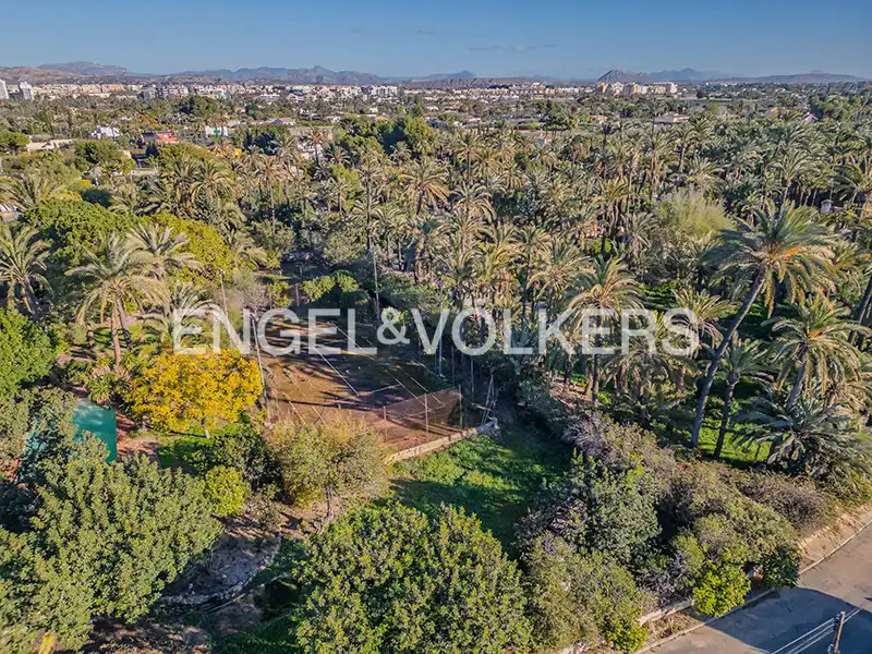 Casa o xalet en venda en Elche / Elx amb Aire condicionat, Calefacció i Jardí privat