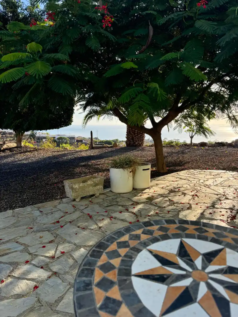 Terrace of Country homes for rent in Güímar