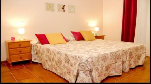 Foto 3 von Wohnung zur Miete in Zona Botánico, Puerto de la Cruz