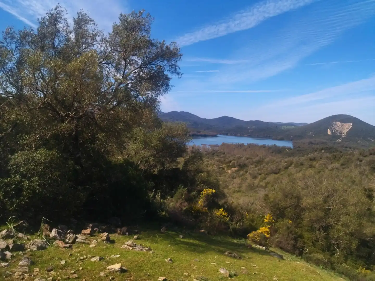 Terreno rustico in vendita a Ubrique, imagen 3