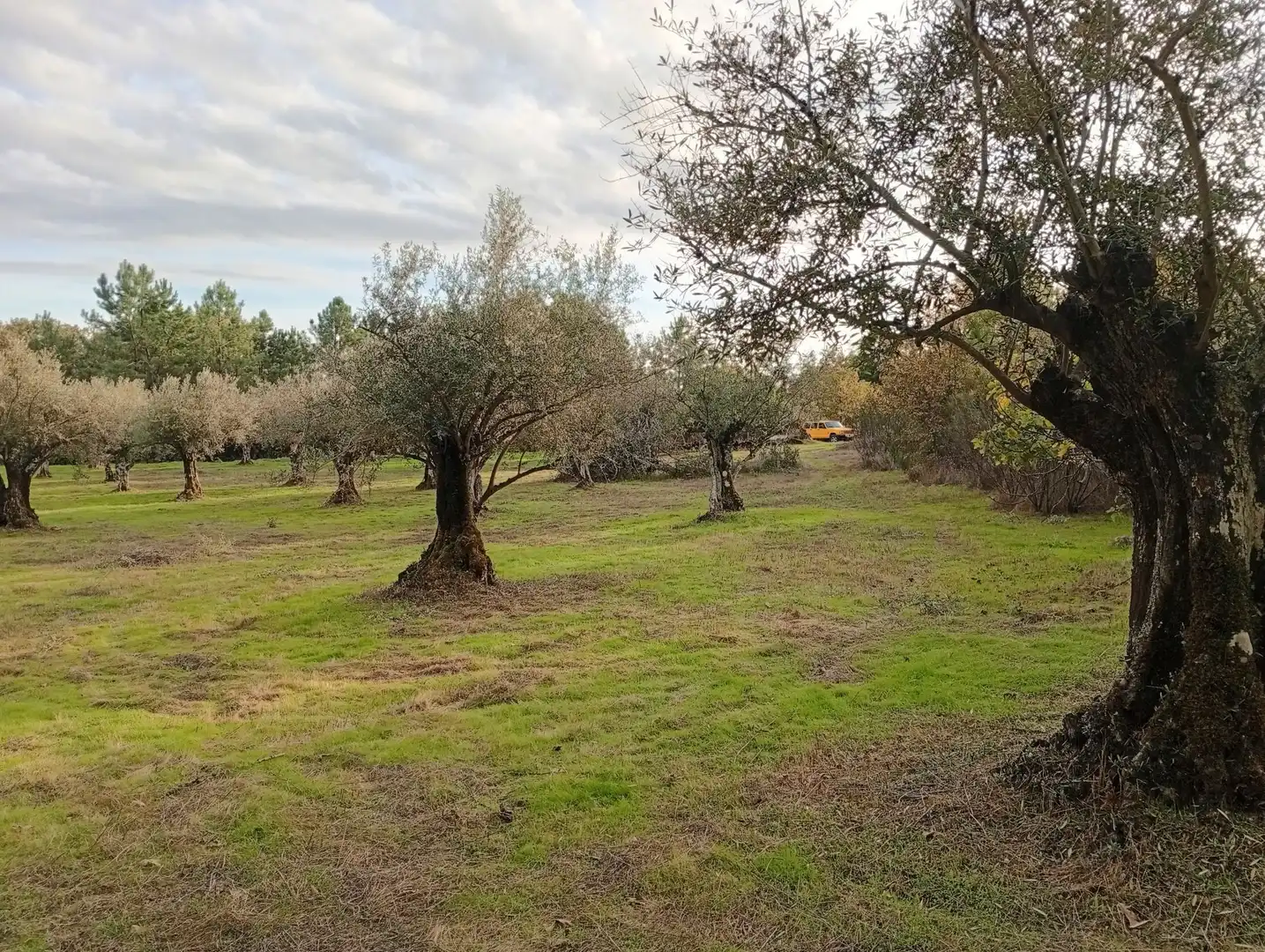 Terreni e lotti in vendita a Villanueva de la Vera, imagen 8