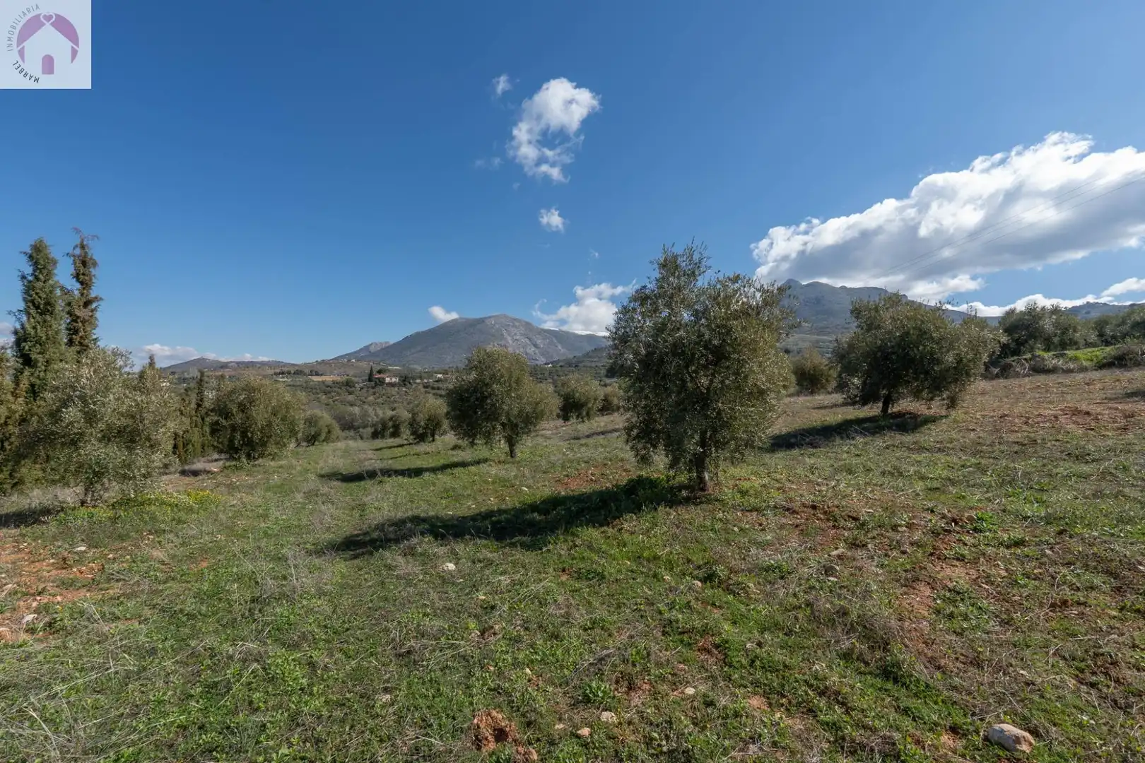 Terreni e lotti in vendita a Cogollos de la Vega
