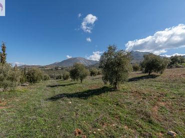 Terreno rustico in vendita a Cogollos de la Vega