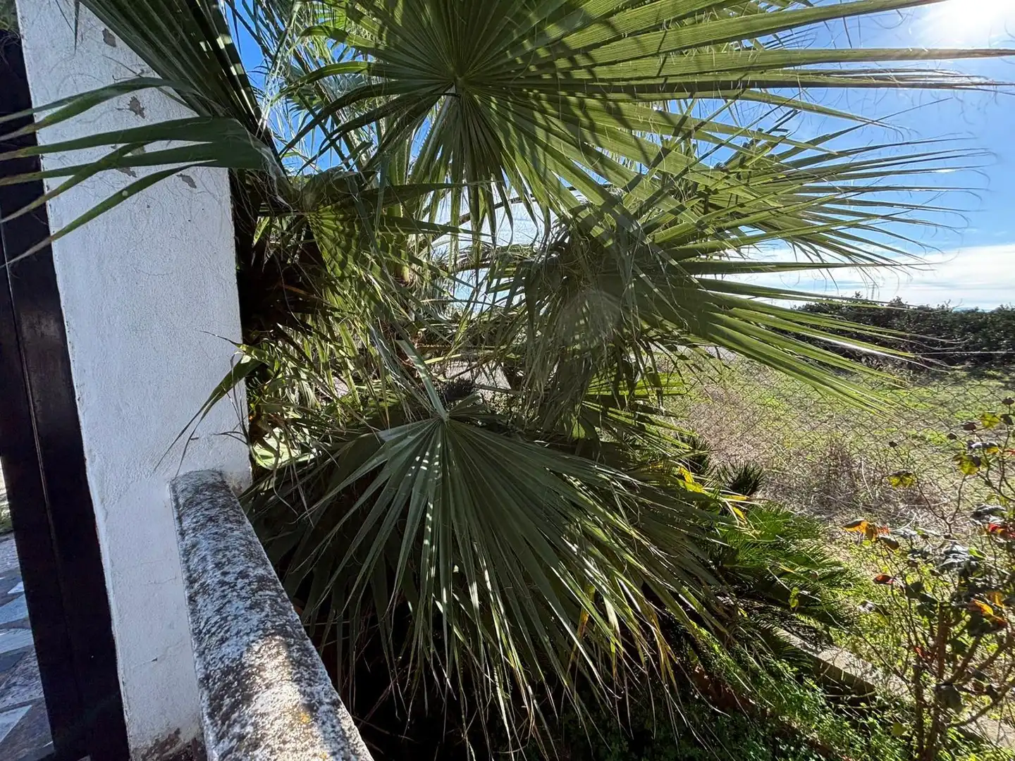 Jardín de Finca rústica en venta en Carcaixent con Jardín privado y Terraza