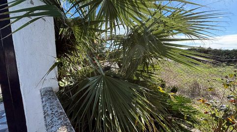 Foto 5 de Finca rústica en venta en Carcaixent, Valencia