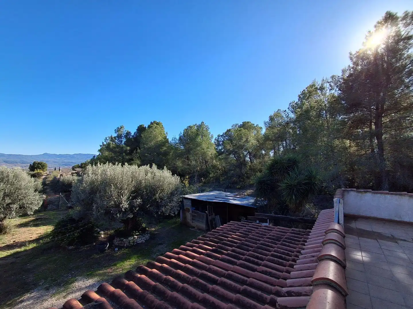 Jardí de Finca rústica en venda en Móra d'Ebre
