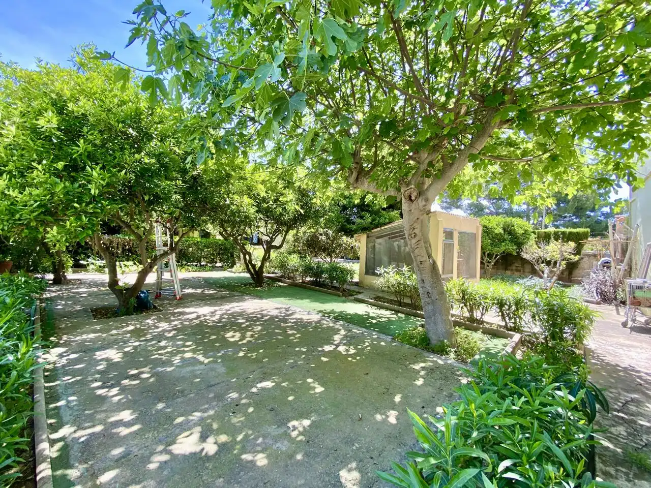 Garten von Haus oder Chalet zum Verkauf in  Palma de Mallorca mit Privatgarten, Terrasse und Abstellraum