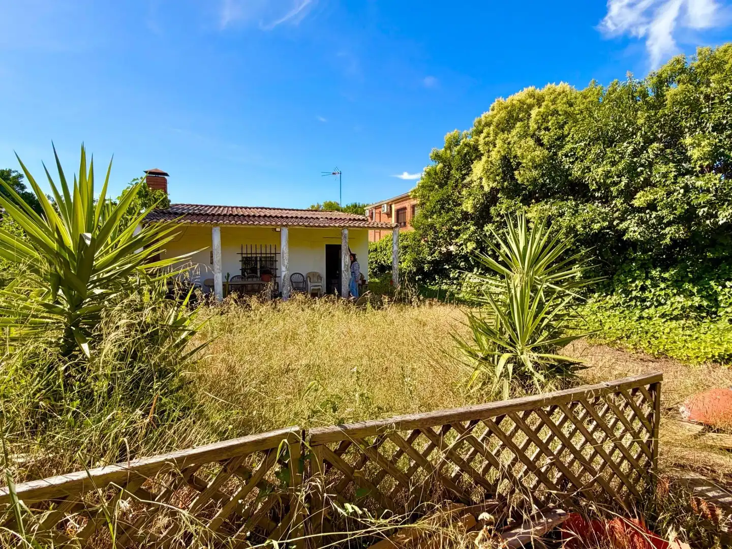 Jardín de Casa o chalet en venta en Puebla de la Calzada con Jardín privado y Piscina