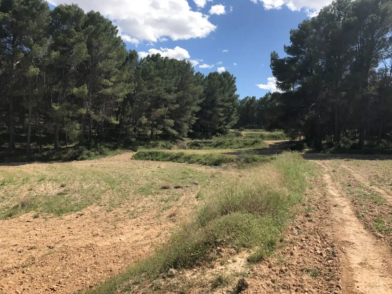 Terreny rústic en venda a Caravaca de la Cruz, imagen 9