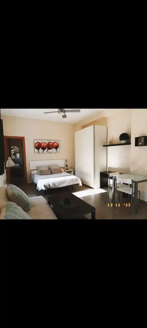 Schlafzimmer von Wohnung zur Miete in Málaga mit Möbliert