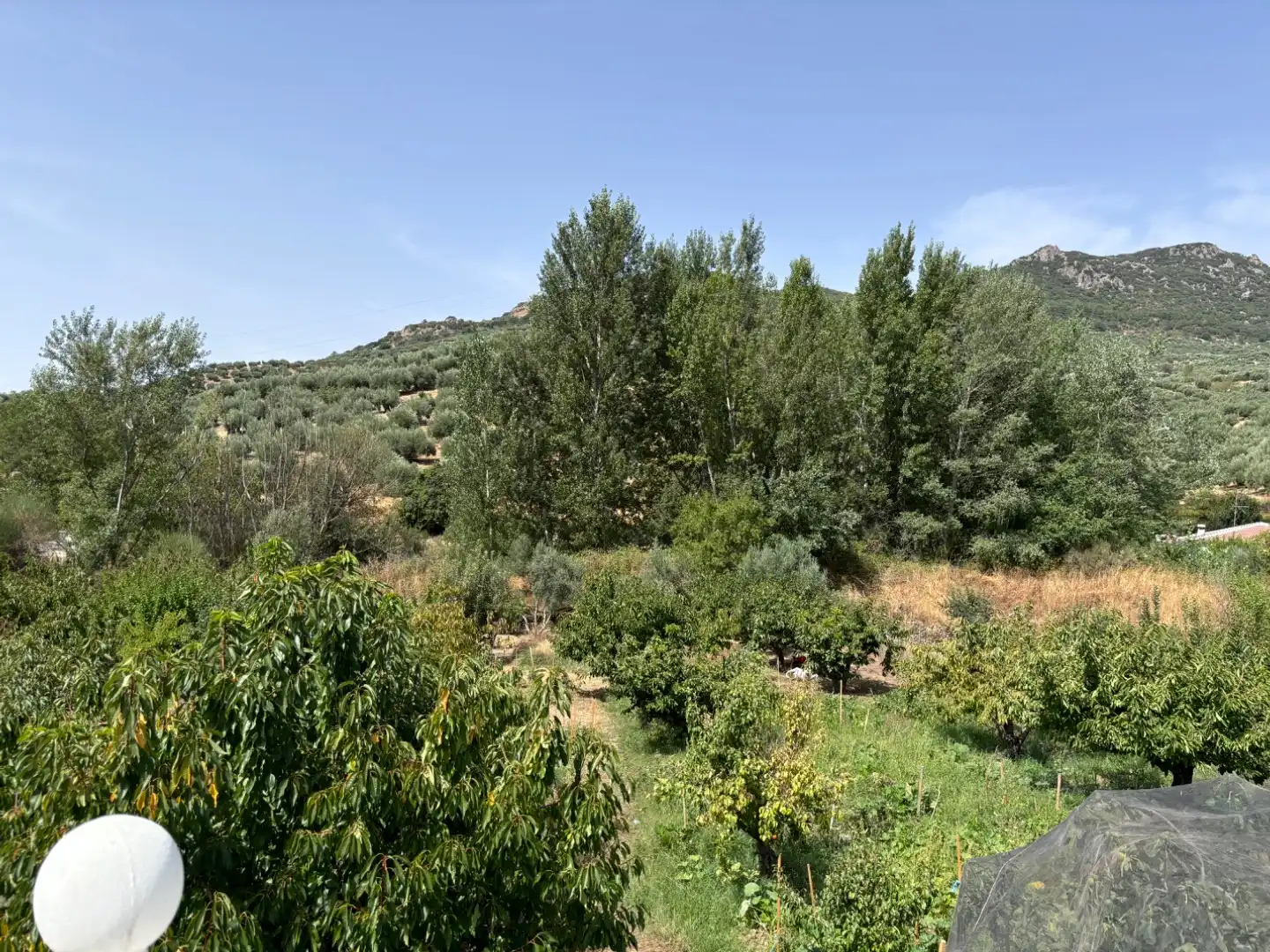 House with garden for sale in Avda de Jaen 47, imagen 23