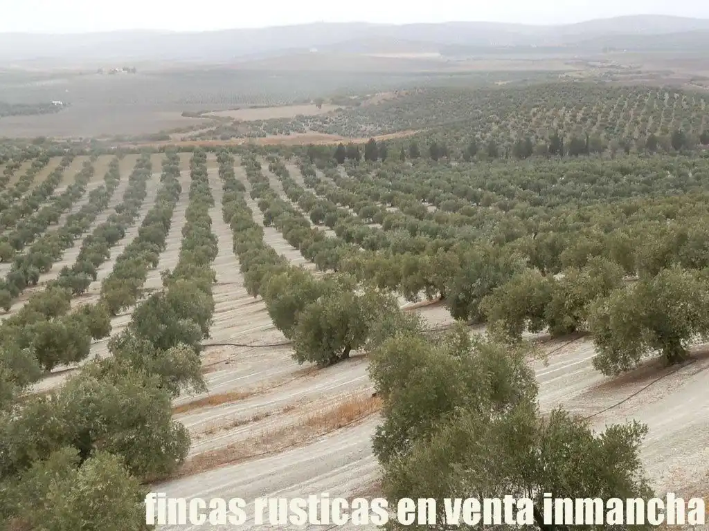 Terreni e lotti in vendita a Andújar, imagen 5