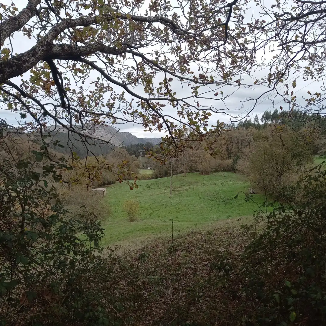 Terreno en venta en Los Corrales de Buelna 