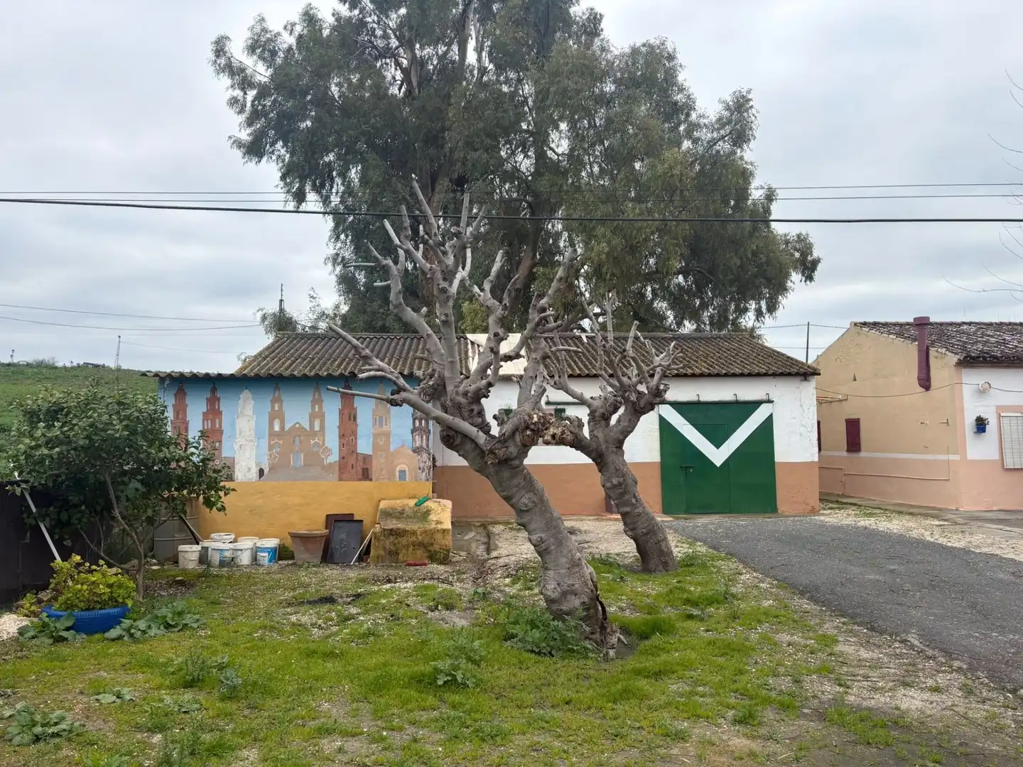 Vista exterior de Casa o xalet en venda en Écija