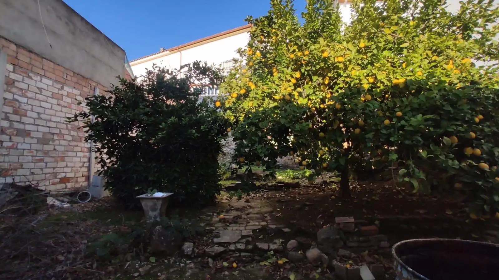 Garden of Houses for sale in El Carpio  with Air Conditioner, Private garden and Terrace