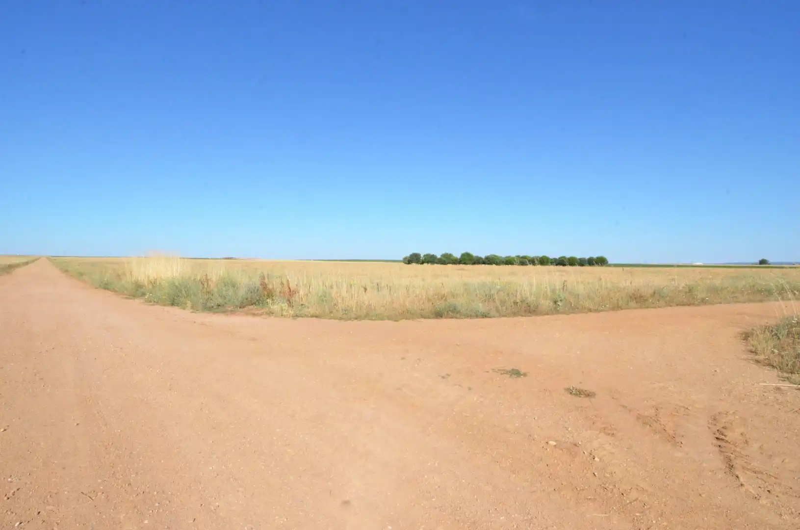 Terreny rústic en venda a Calzada de Valdunciel