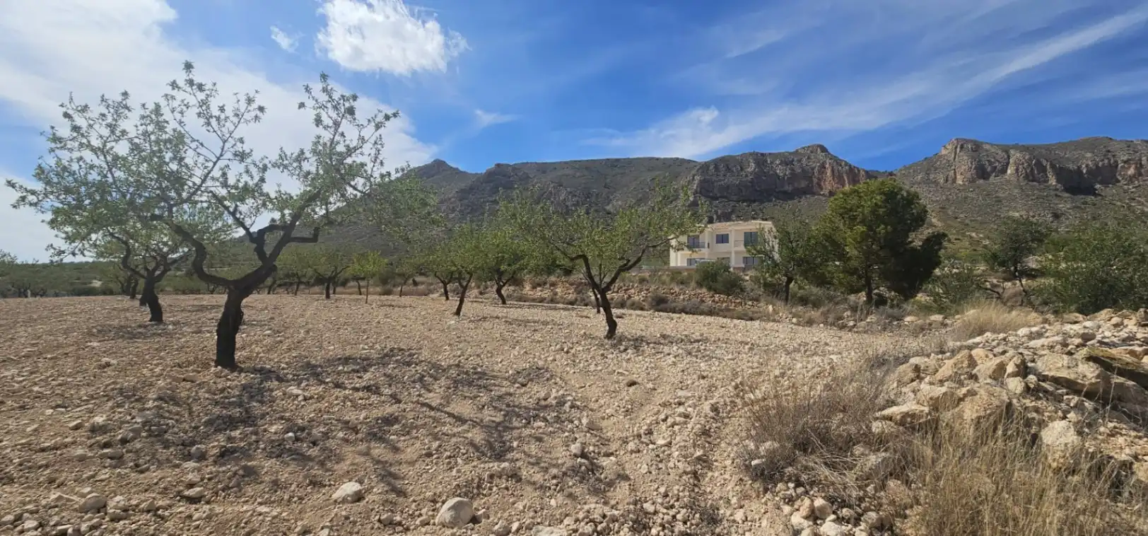 Wohnbaugrundstück zum Verkauf in Hondón de las Nieves / El Fondó de les Neus, imagen 3